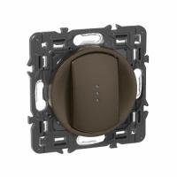 Переключатель одноклавишный на 2 направления (проходной) 10 А с подсветкой/индикацией. Графит. Celiane. Legrand