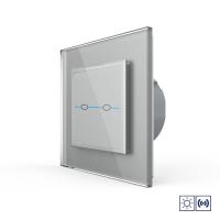 Сенсорный импульсный выключатель Livolo Quadro сухой контакт 2 клавиши 1 модуль Серый