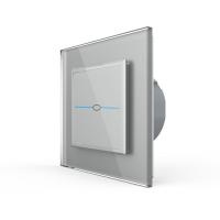 Сенсорный выключатель Livolo Quadro 1 клавиша 1 пост Серый VL-Q701-15