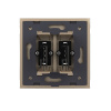 Розетка мультимедийная двойная AUDIO RCA LIVOLO золотая VL-C792AD-13