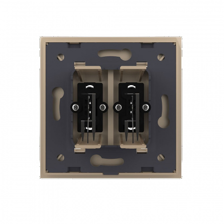 Розетка мультимедийная двойная AUDIO RCA LIVOLO золотая VL-C792AD-13