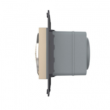 Bluetooth 5.0 колонка Livolo, цвет золотой (механизм) VL-FCF-2AP