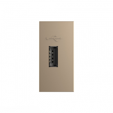 Розетка USB LIVOLO с блоком питания золотая BB-C7-1USB-13 (механизм)
