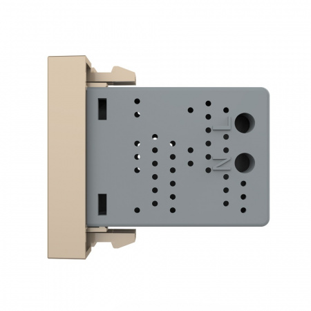 Розетка USB LIVOLO с блоком питания золотая BB-C7-1USB-13 (механизм)
