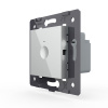Одноклавишный сенсорный выключатель Livolo Module, цвет серый (механизм)