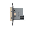 Розетка электрическая с заземлением защитными шторками 16A + USB type C с блоком питания 18W Livolo, цвет золотой (механизм) VL-FCTF16A.UC18W-2AP