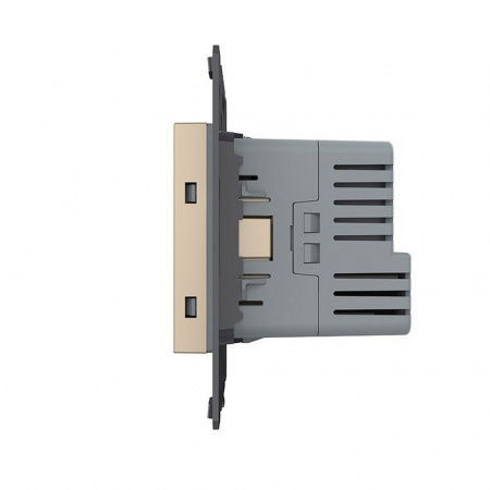 Розетка электрическая с заземлением защитными шторками 16A + USB type C с блоком питания 18W Livolo, цвет золотой (механизм) VL-FCTF16A.UC18W-2AP