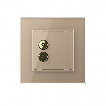 Розетка акустическая LIVOLO золотая VL-C791A-13