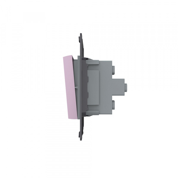 Двухклавишный механический выключатель Livolo, цвет розовый (механизм)