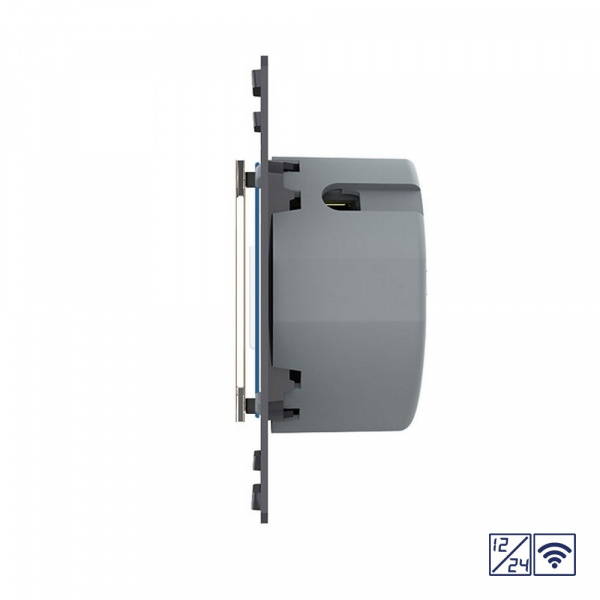 Двухклавишный сенсорный выключатель Livolo Quadro 12/24В с функцией радиоуправления, цвет золотой (механизм)