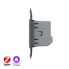 Двухклавишный сенсорный выключатель Livolo ZigBee (механизм) VL-FC2Z-2G